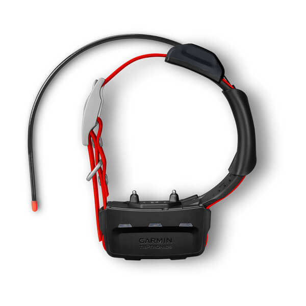 Alternative view of TT 15X Dog Collar